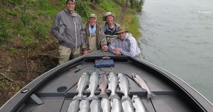 Full Day Kenai Silver Salmon Fishing