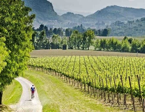 E-bike experience in the Prosecco Hills from Venice
