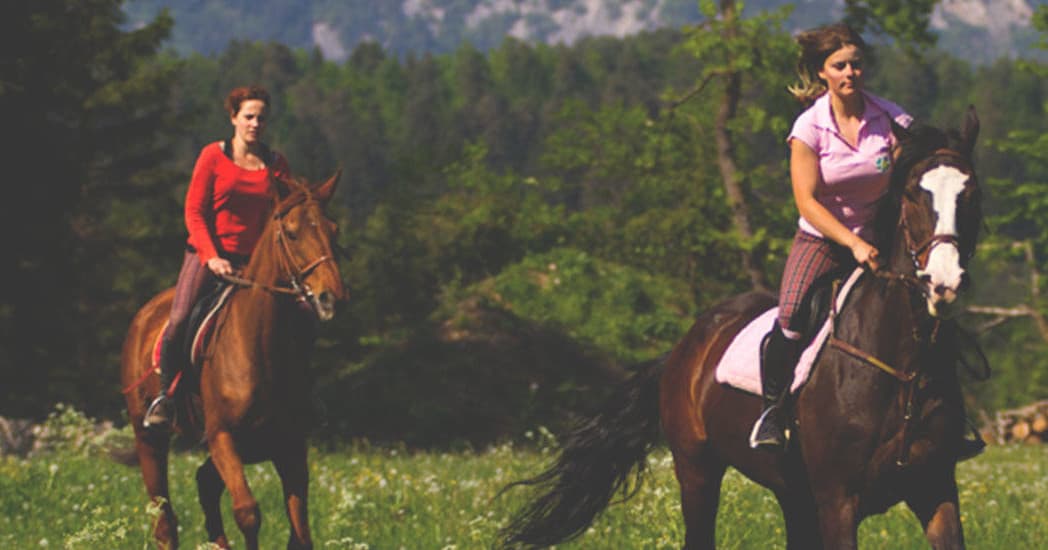 Horse Riding
