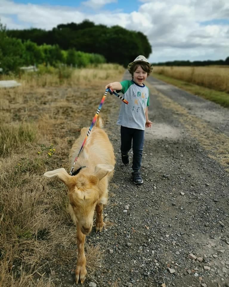 Public Goat & Sheep Walk suitable for children 7 and under (open to older siblings too)