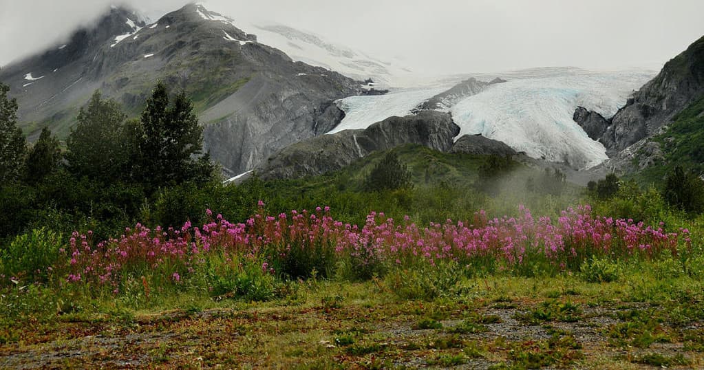 Mineral Creek Tour