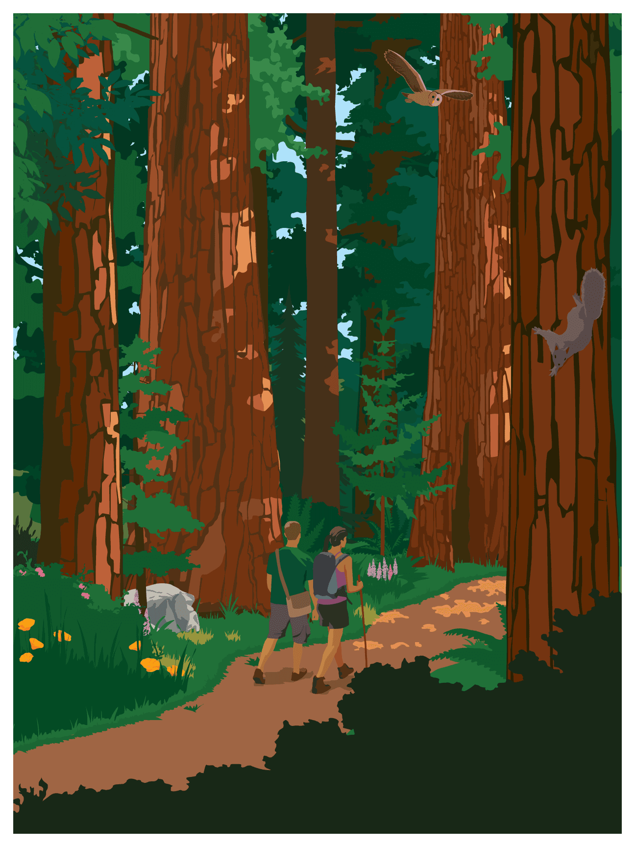 Guided Redwood Tour with Lunch