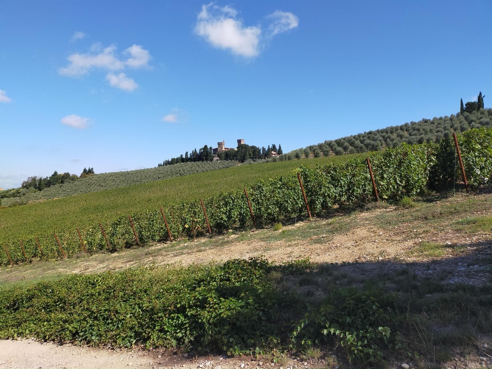 Wine hiking: sip and trek!