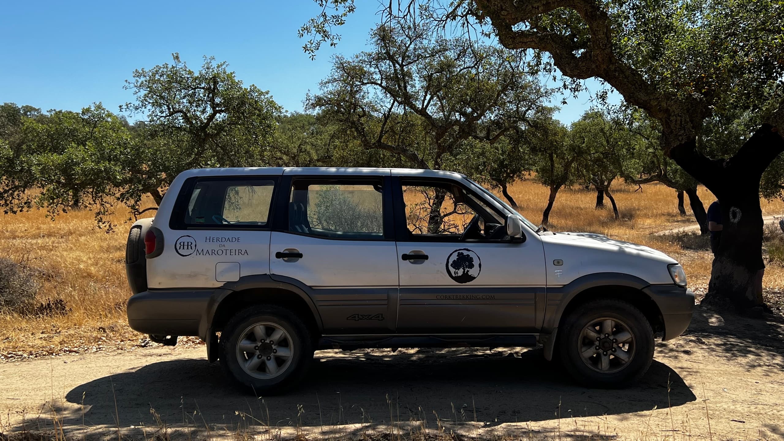 Cork Tour in a Jeep