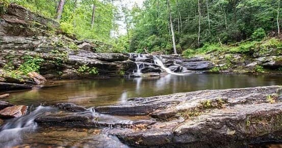 Guided Dives at Devils Den or Rainbow River Drift Dive