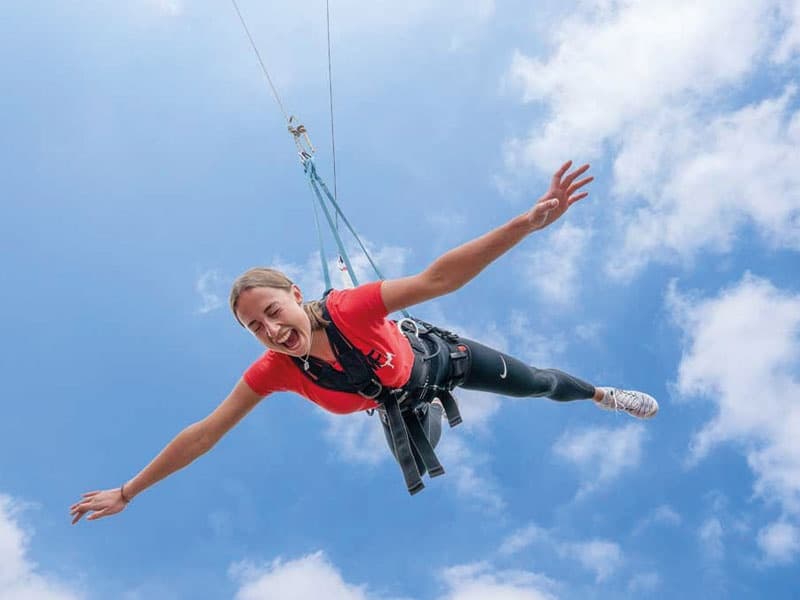 FreeFall