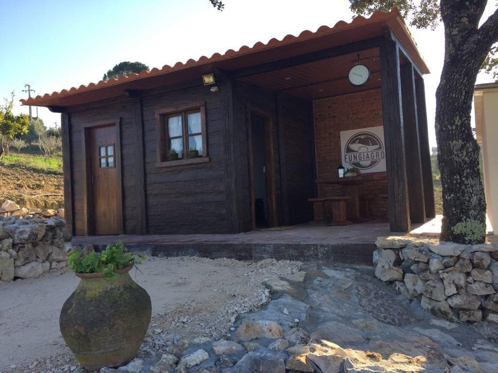 Shiitake Mushroom House - 2 Days Experience