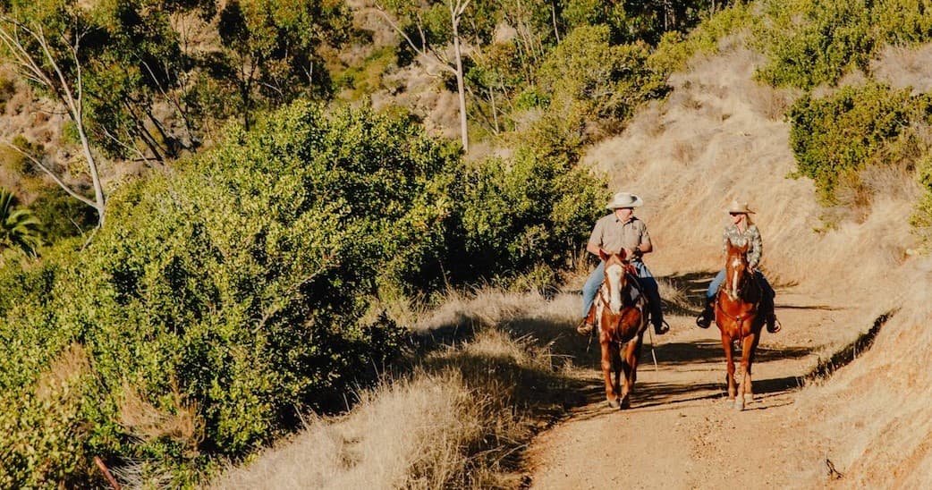 2 Hour Horse Trail Private Ride
