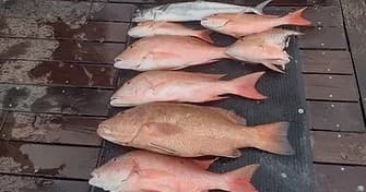 Fishing Charter