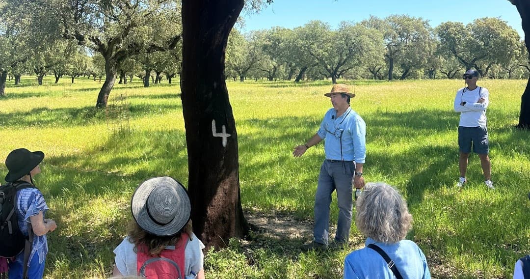 Cork Farm & Tasting Experience