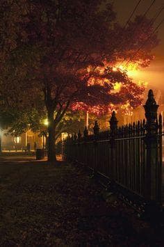 Mysteries & Murders of Salem
