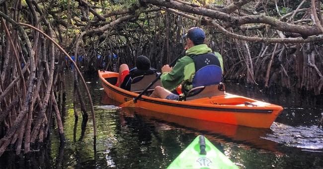 (2 HR) Mangrove Tunnel Express Tour