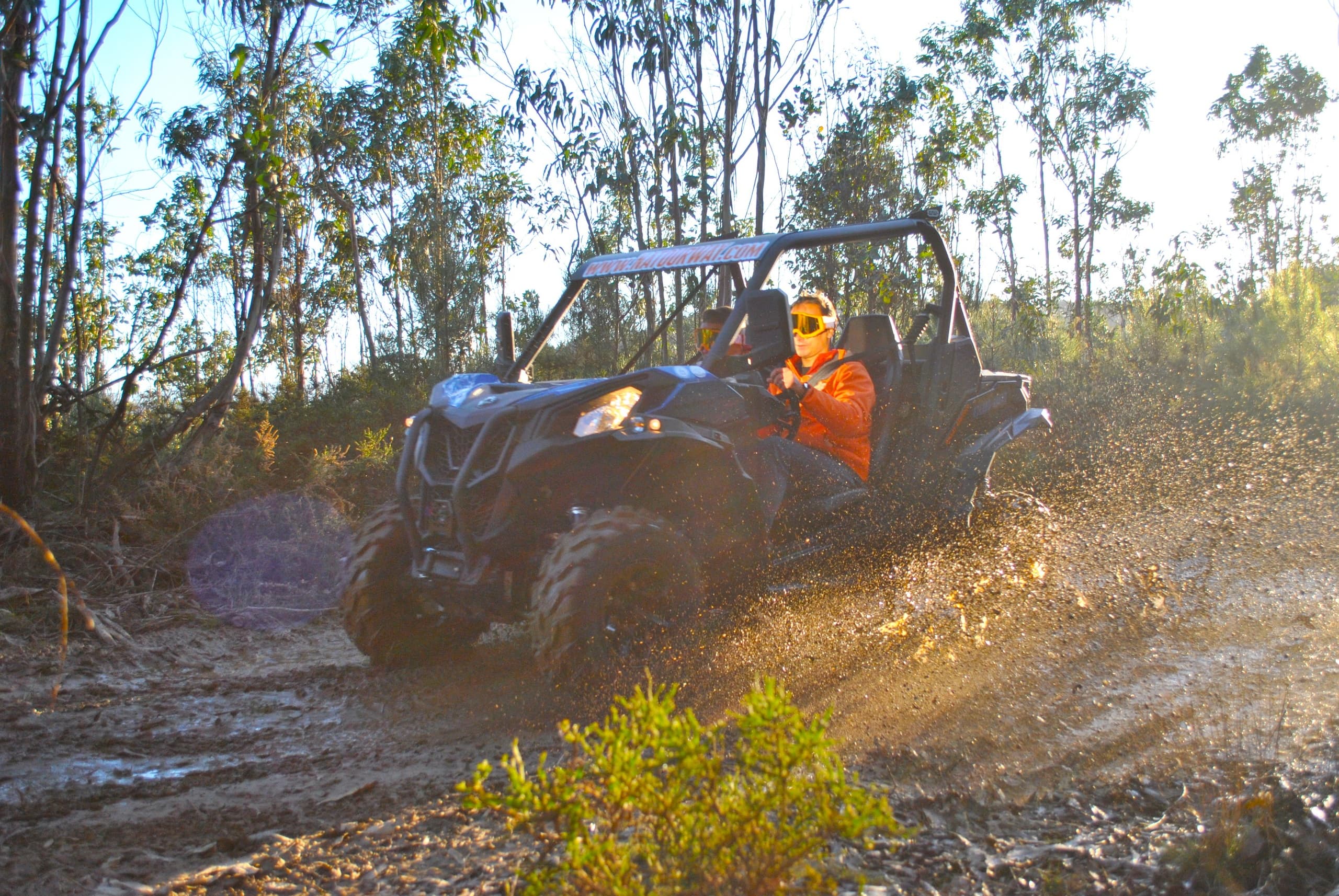 Buggy Experience: Buggy Experience 180 minutos