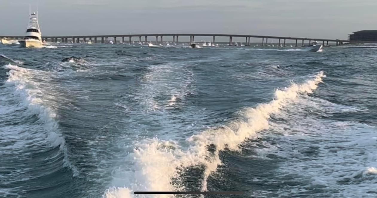 Dolphin Cruise