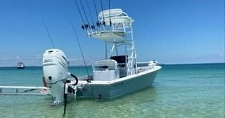 Island/Shelling/Dolphin Tours