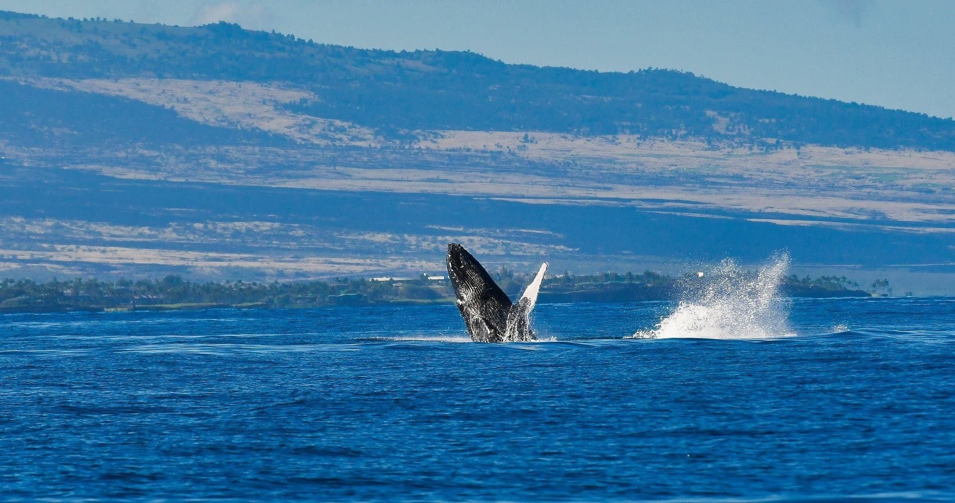 Shared Sailing Charter
