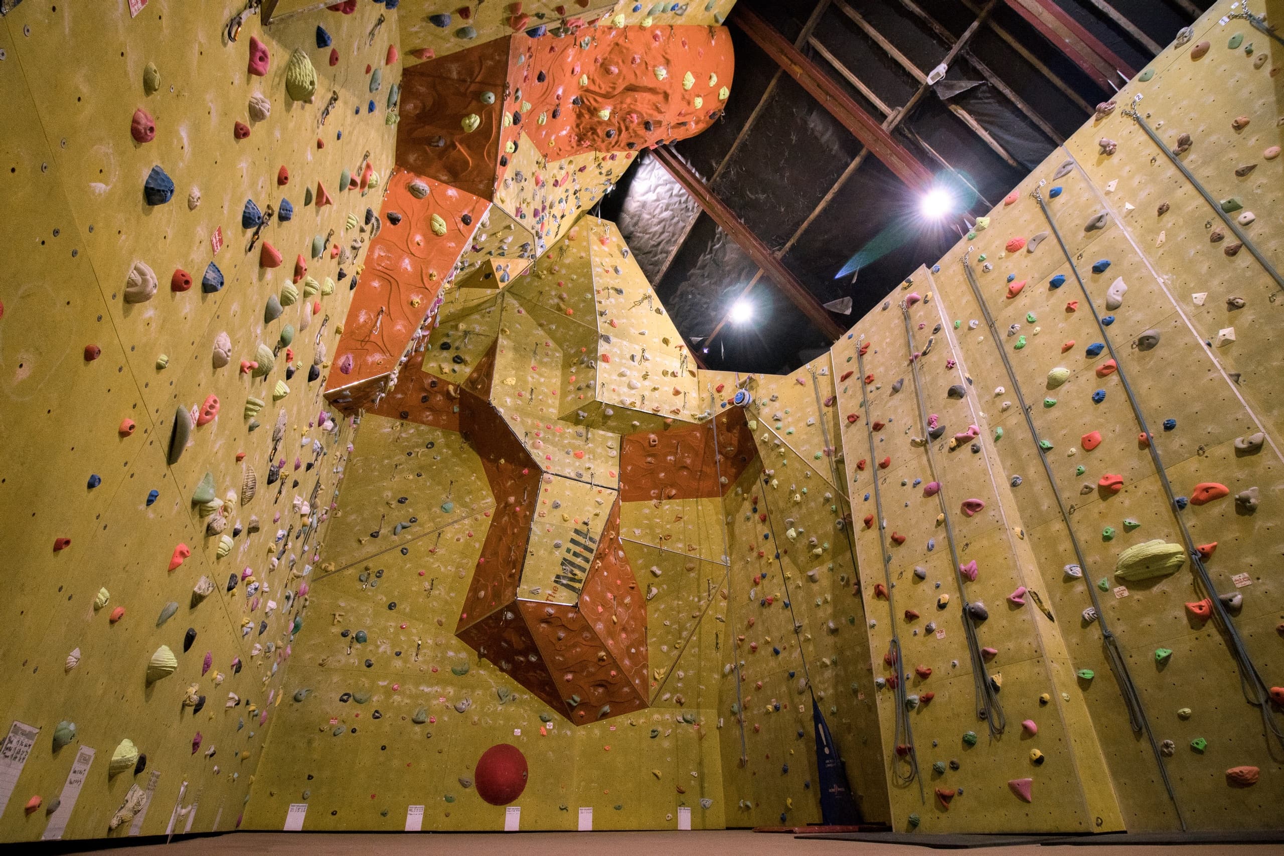 Climbing Taster