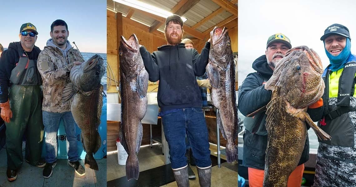 Lingcod and Rockfish