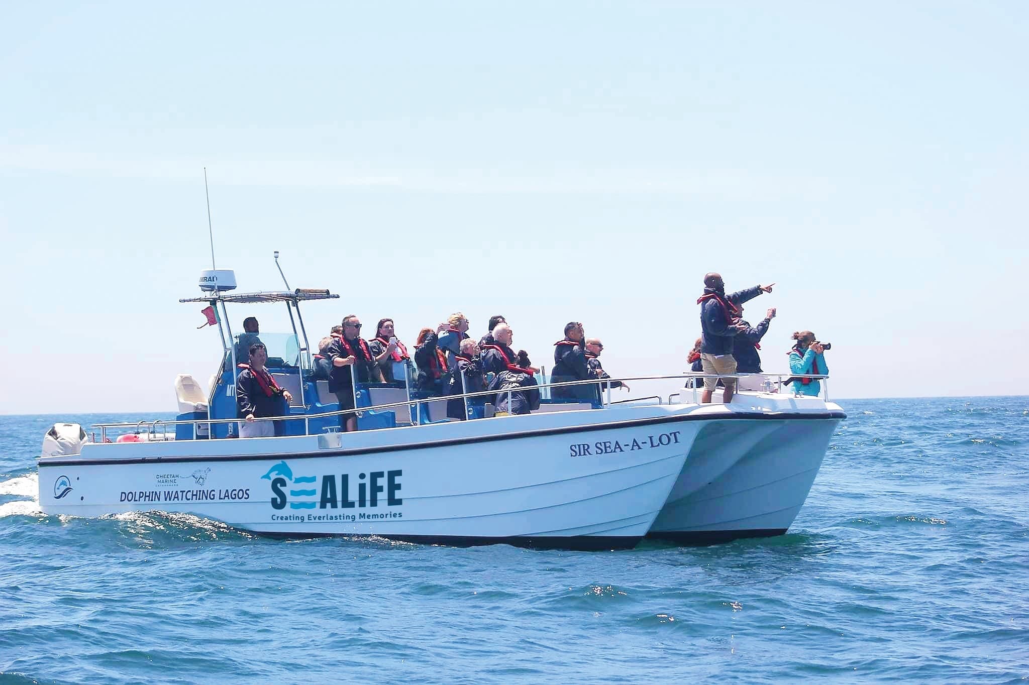 Dolphin Watching Tour
