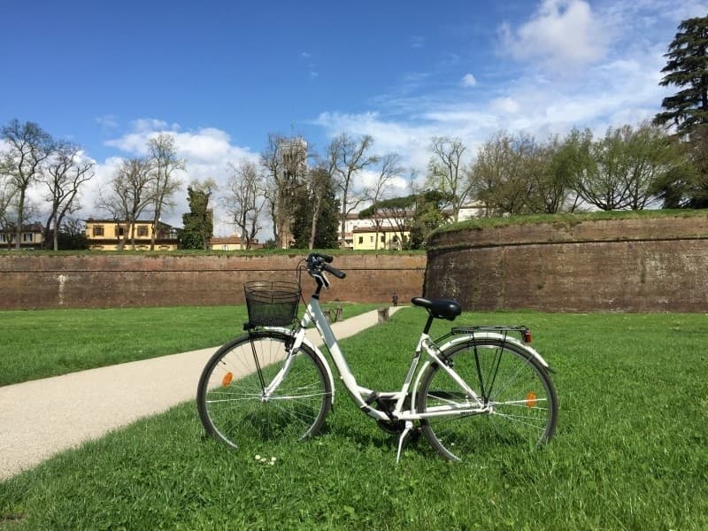 City Bike - Multi Days Rental