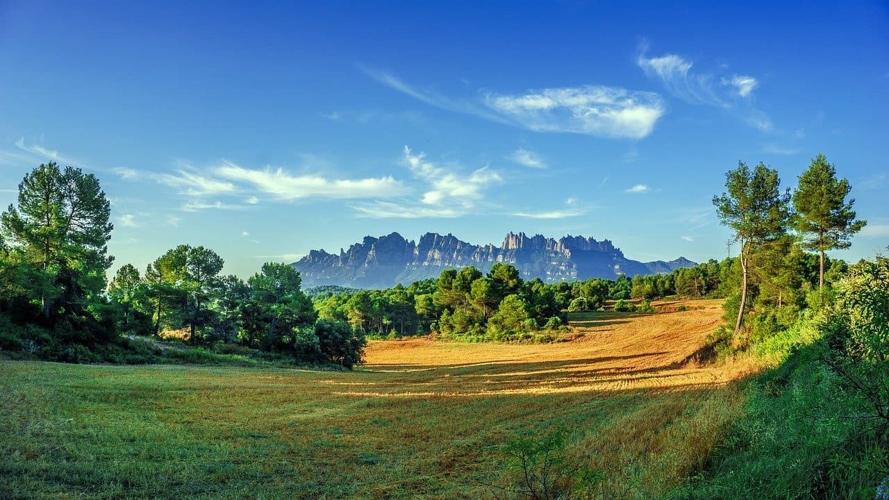 Montserrat & Penedès Wine and Cava Private Tour