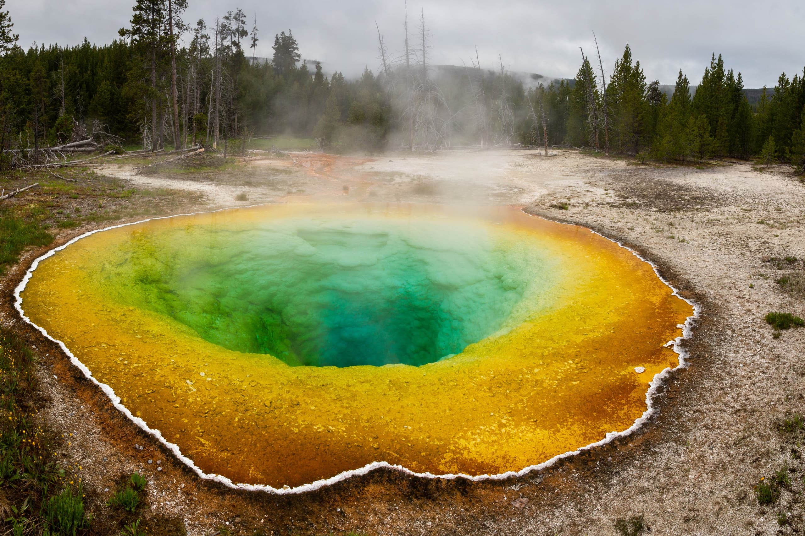 Yellowstone National Park Private Day Tour