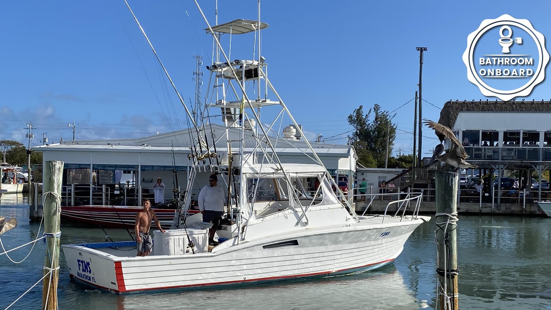 36' Fins SHARK CAGE DIVING