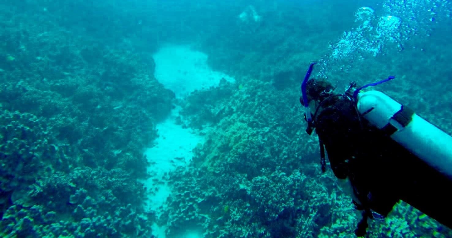 Deep Diver Specialty