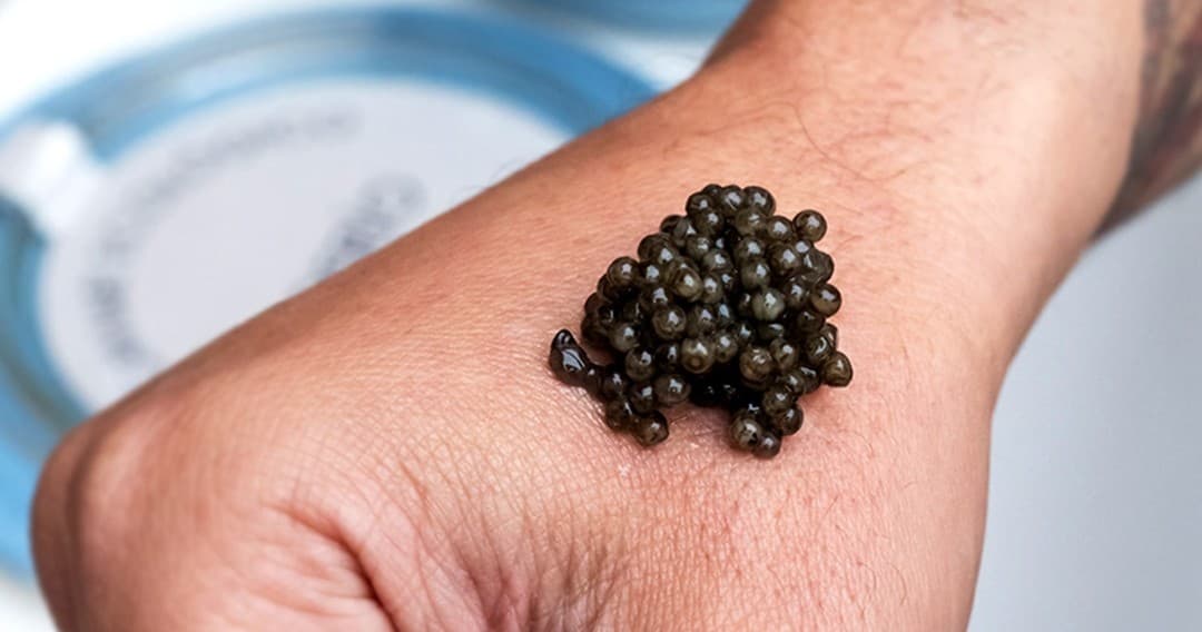 Caviar Tasting Experience