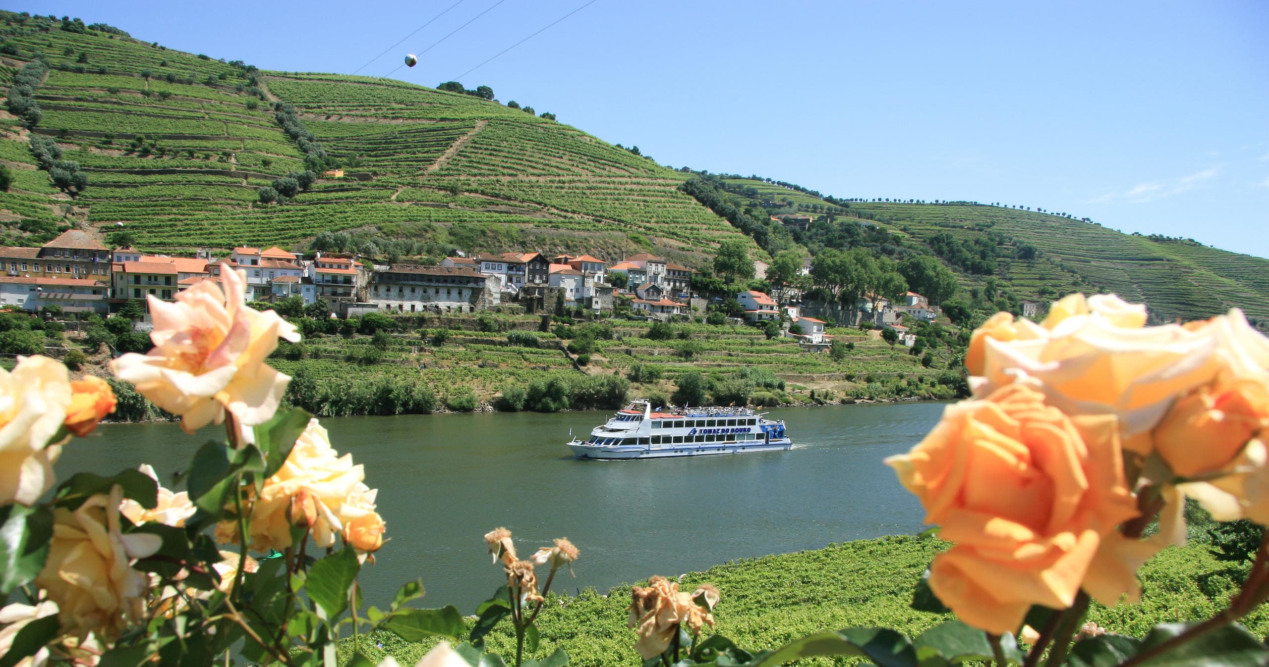 Porto/Régua/Porto (subida semana)