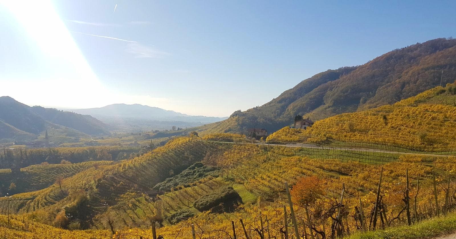 Ciclotour del Montello e colline del Prosecco