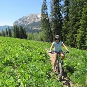 Guided Mountain Bike Tours