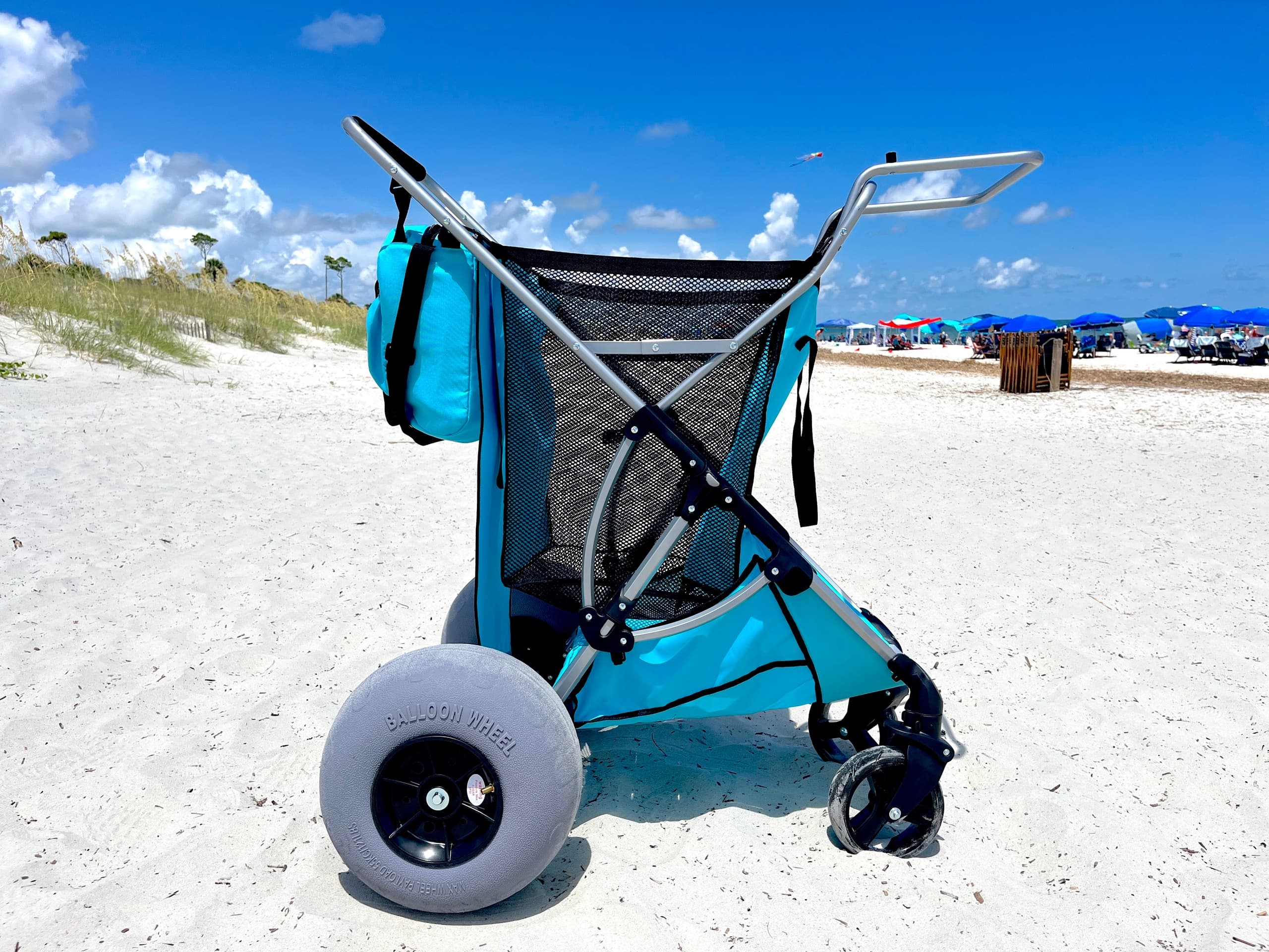 Two Day Beach Cart Rental
