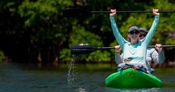 Self-Guided Dolphin & Mangrove Kayak Tour
