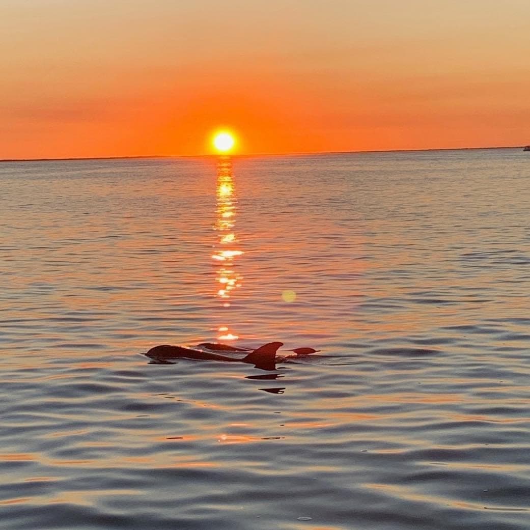 Sunset Cruise