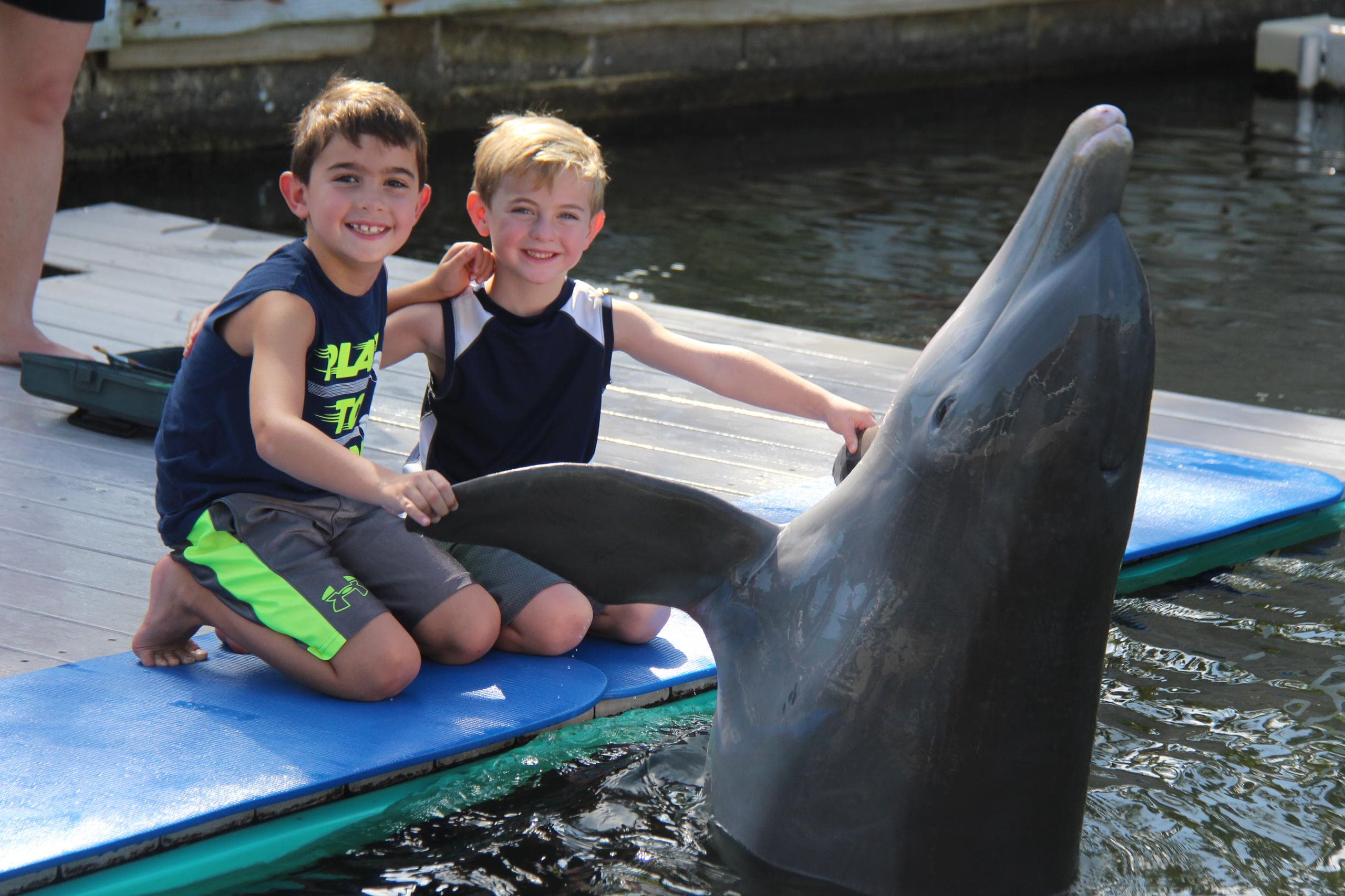 Dolphin Dockside