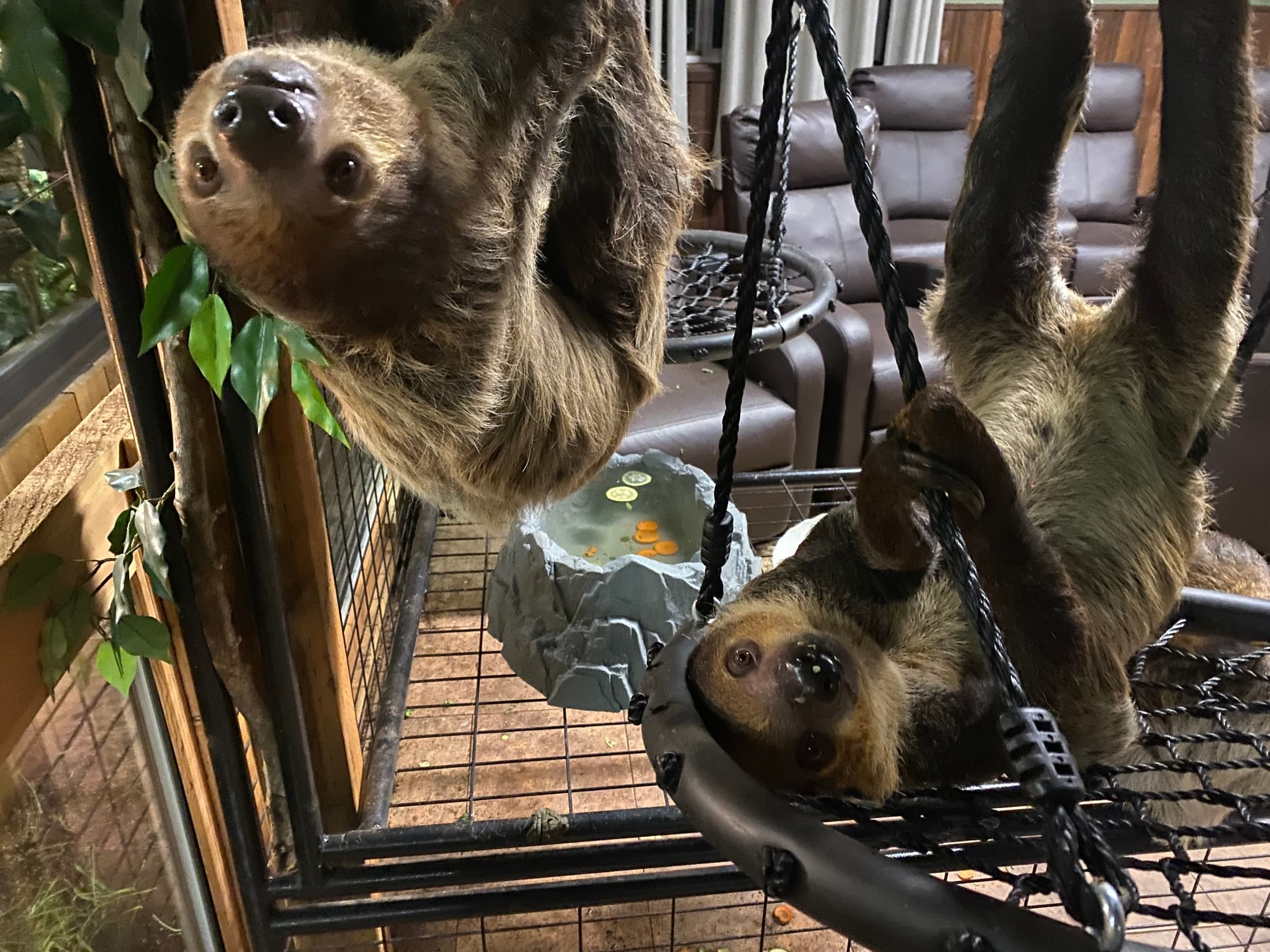Northwest Wildlife Sanctuary Experience