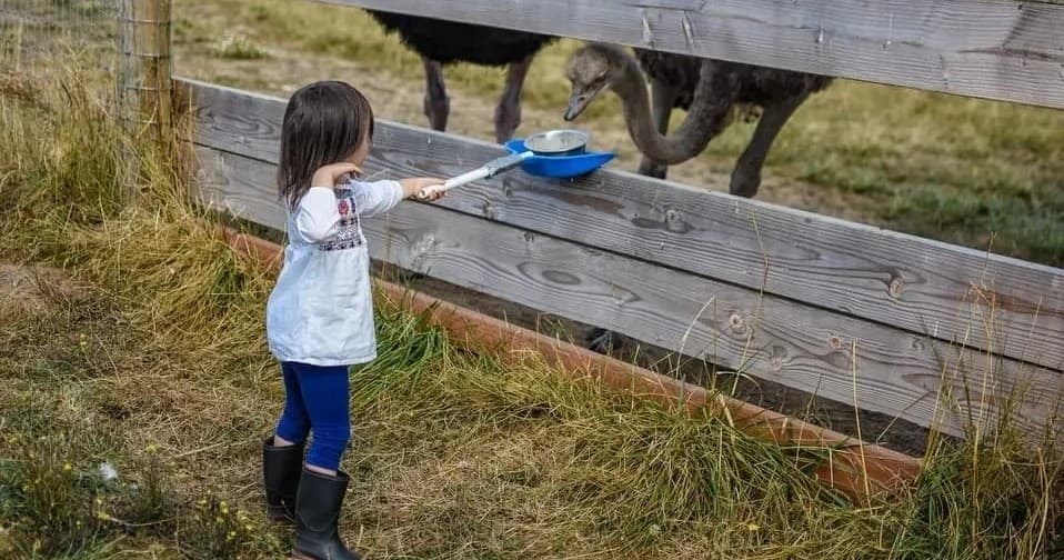 Private Farm Tours