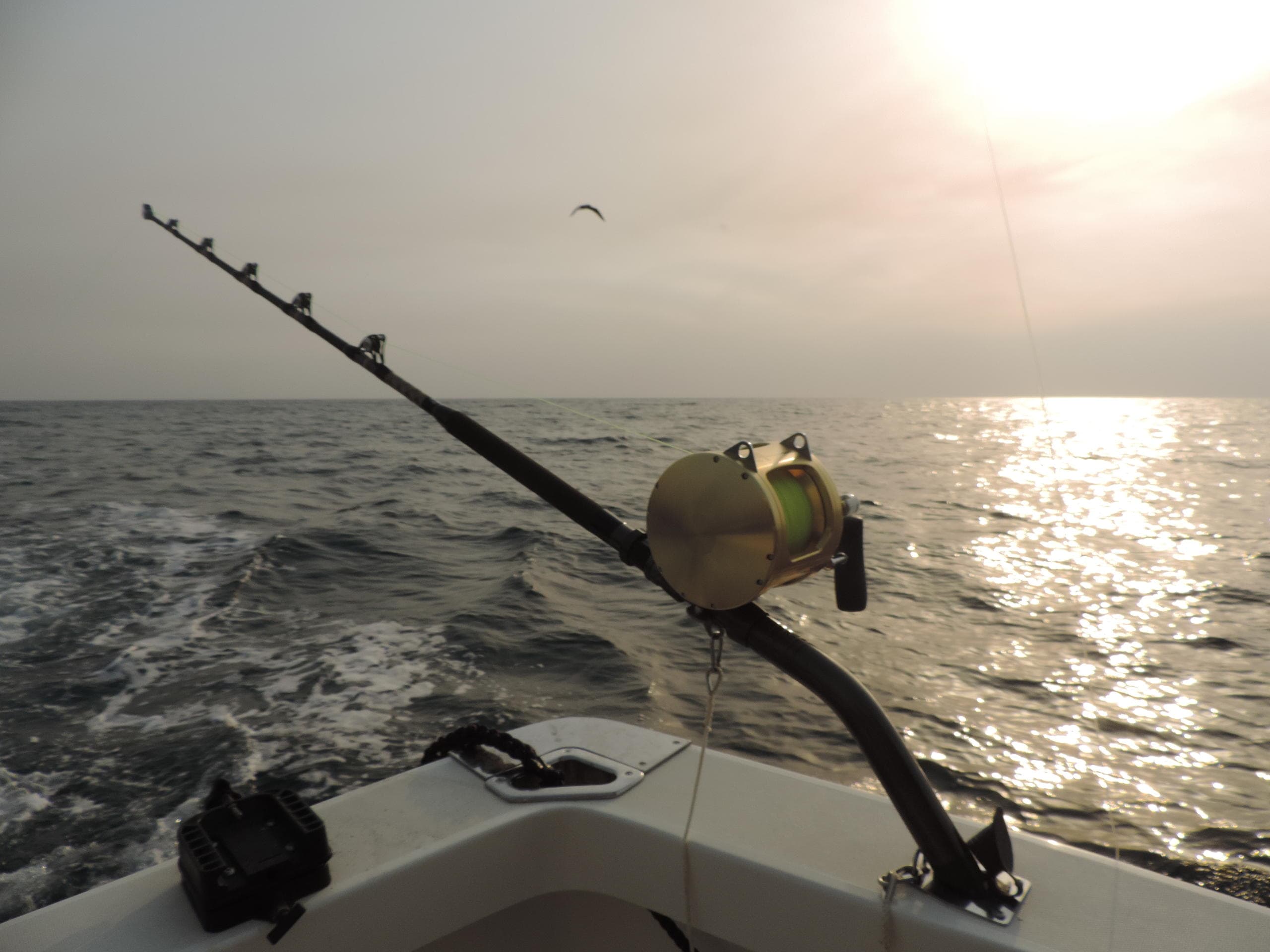 Pesca ao Atum e Espadarte