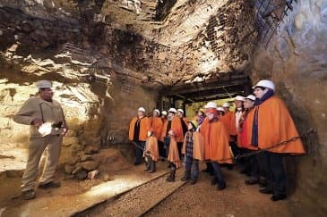 Große Führung für Gruppen & Schulklassen