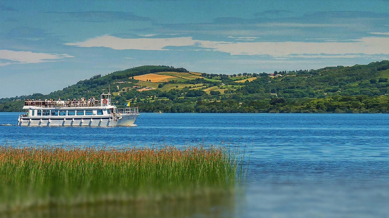 1 hour cruise of the River Shannon and Lough Derg