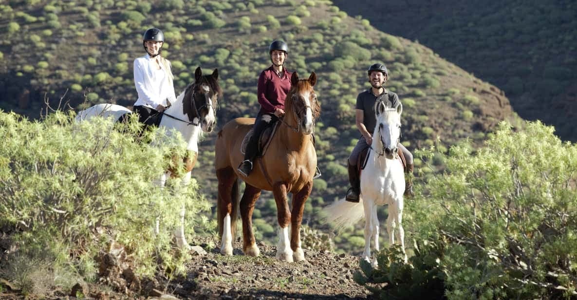 Paseo a caballo con transporte incluído - 2 Horas