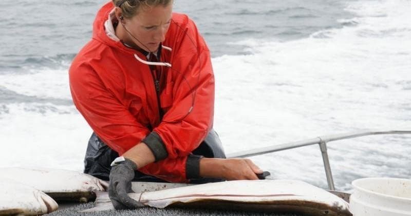 Private Combo Trip with Halibut