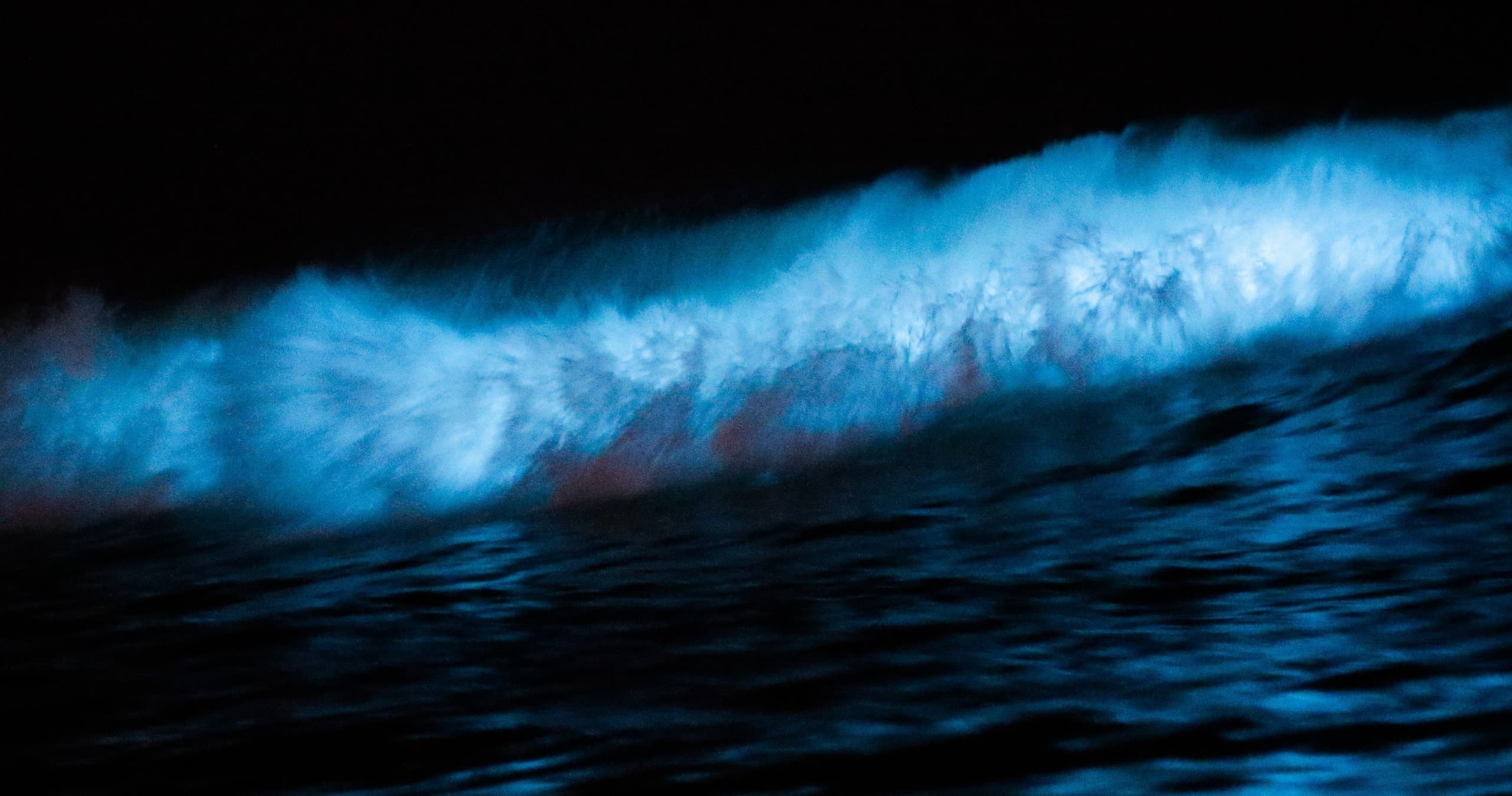 Bioluminescent Tour