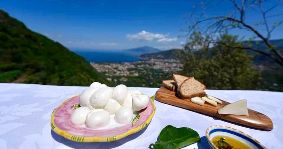 Sorrento Farm Life - Mozzarella show and Pizza School