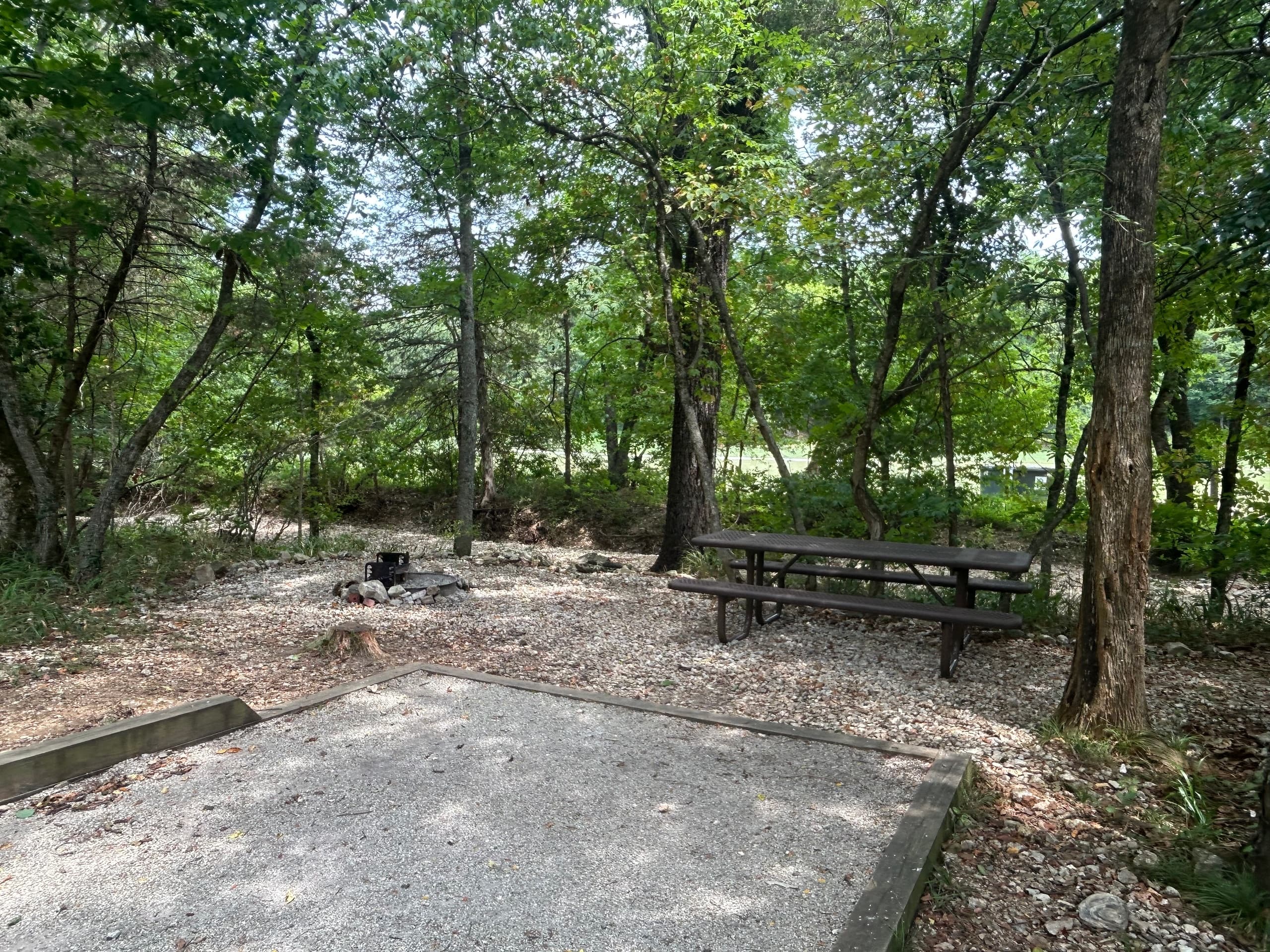 Meadow Campsite 18 (M18)