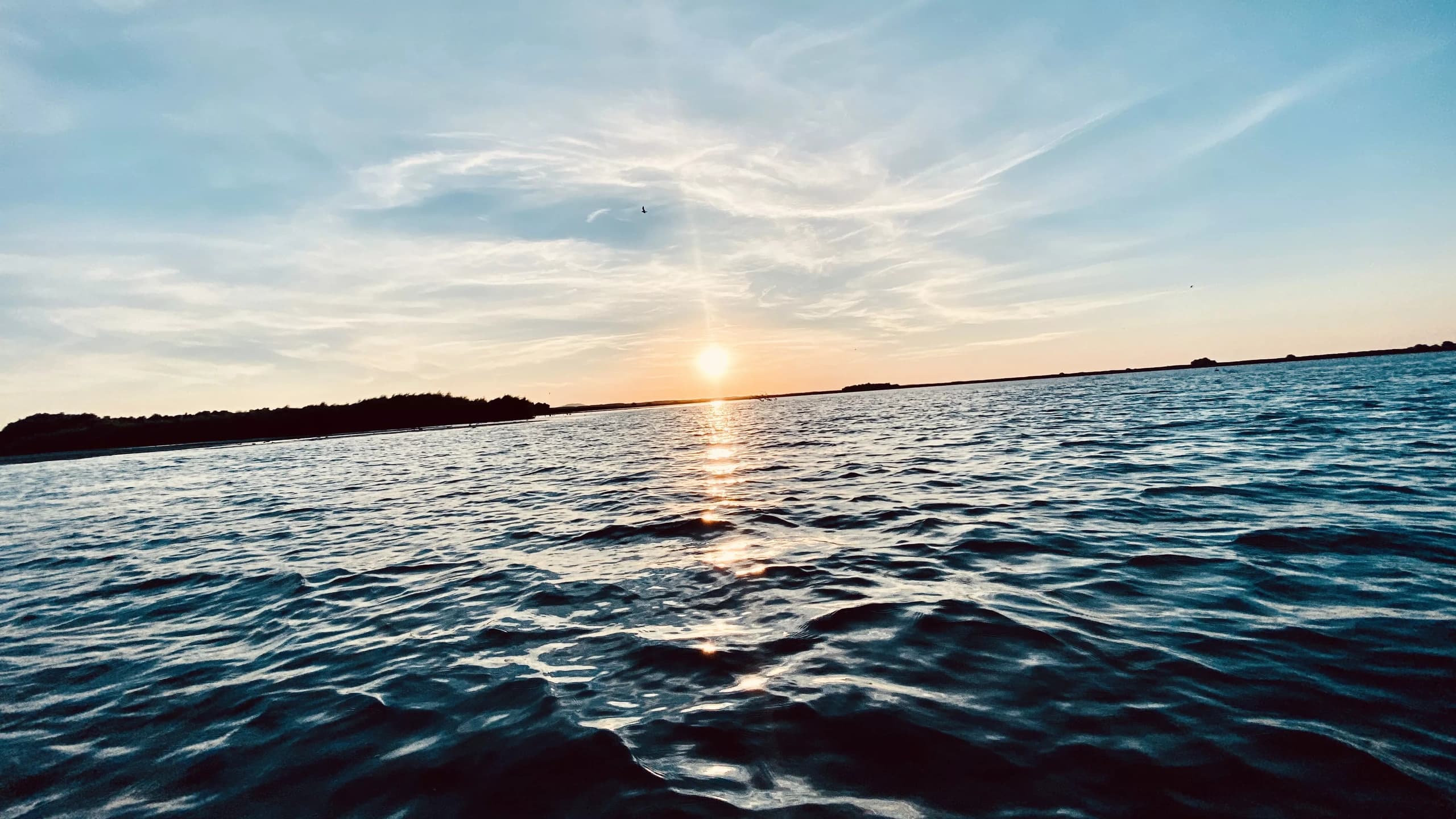 Danube Delta: Boat Tour to the Black Sea via Sfântu Gheorghe