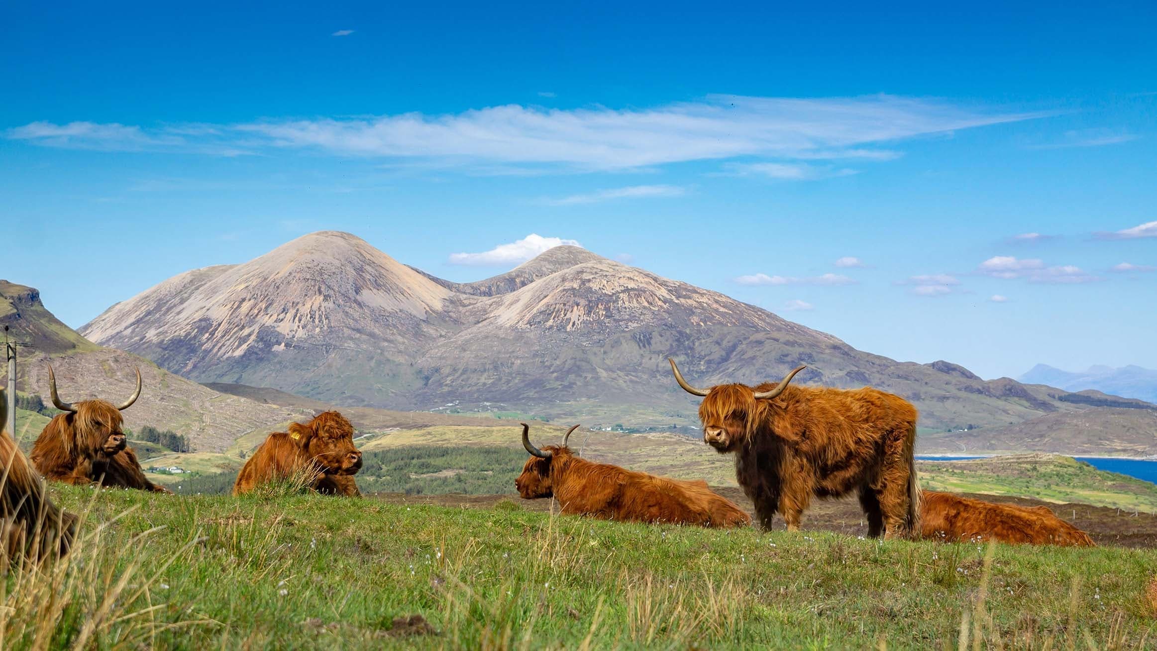 Edinburgh to Inverness Highland Tour: Discover Scotland’s Iconic Sights