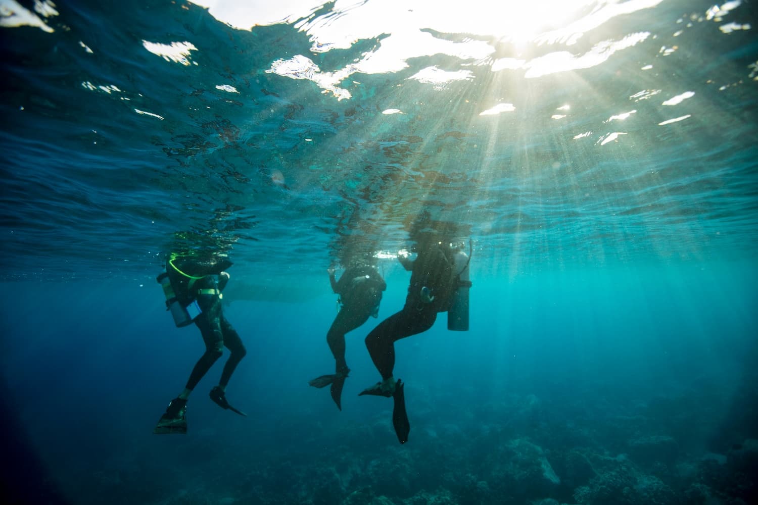 Discover Scuba Diving Experience