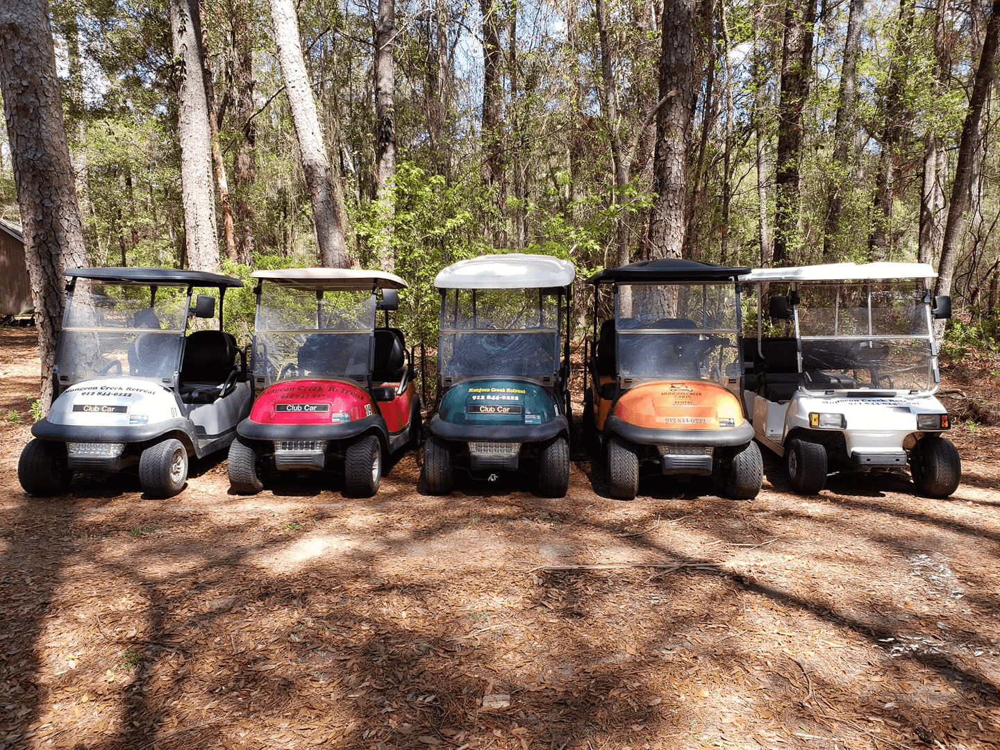 6-Seater Golf Cart Rentals